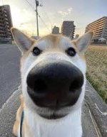 1000329103.png