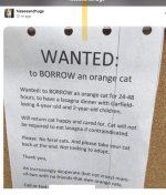 IMG_1768.jpeg