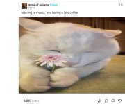 IMG_2300.jpeg