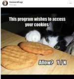 IMG_2695.jpeg