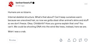 IMG_4175.jpeg
