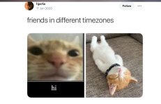 IMG_4845.jpeg