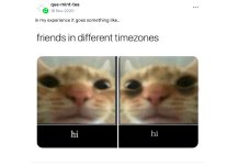 IMG_4846.jpeg