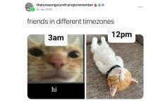 IMG_4848.jpeg