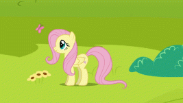08e.gif