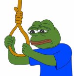 images (1) (16).jpeg