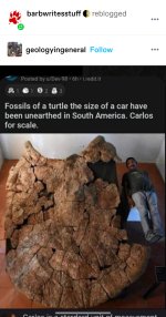 327667.jpg