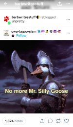 327809.jpg