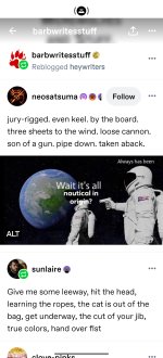 329855.jpg