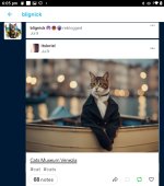 Screenshot_2024-07-21-18-05-26-288.jpeg