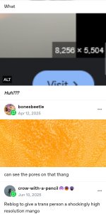 Screenshot_20260427_081703.jpg