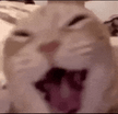 1000419114.gif