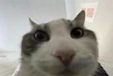 1778926858008.png