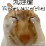 1000420415.gif