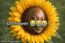 1000420622.gif