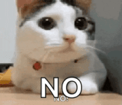 1000026960.gif 1000026960.gif