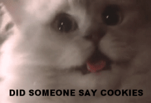 1782285415341.gif