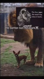 images (29).jpeg