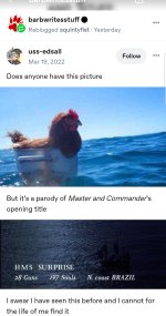 1003278913.jpg