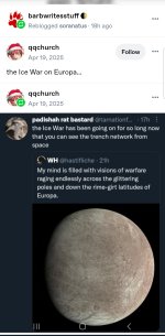 1003308383.jpg