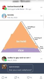 1003314260.jpg
