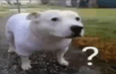 1787333343494.png