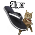 1787831977624.gif