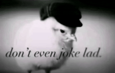 1000431828.gif