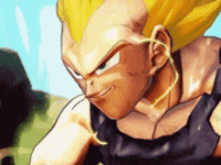 goku-vegeta-dbz-goku-vegeta-nodding.gif