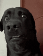 1791134363657.png