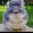 dhityamwan8